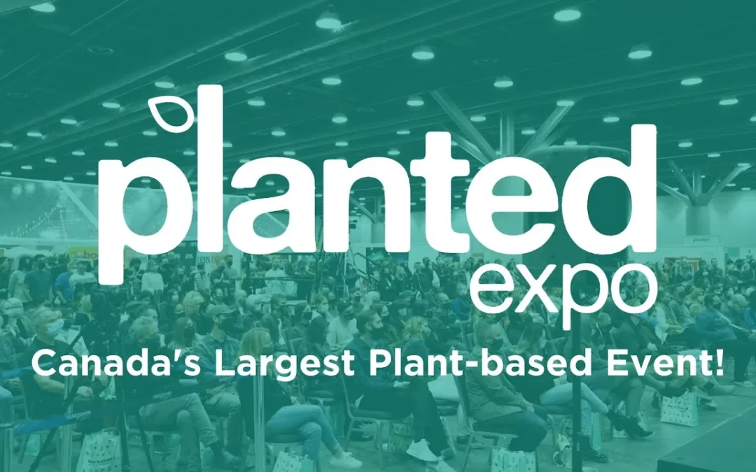 Planted Expo