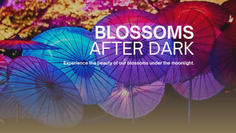 Blossoms After Dark