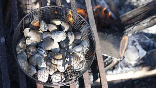 Sea Foraging