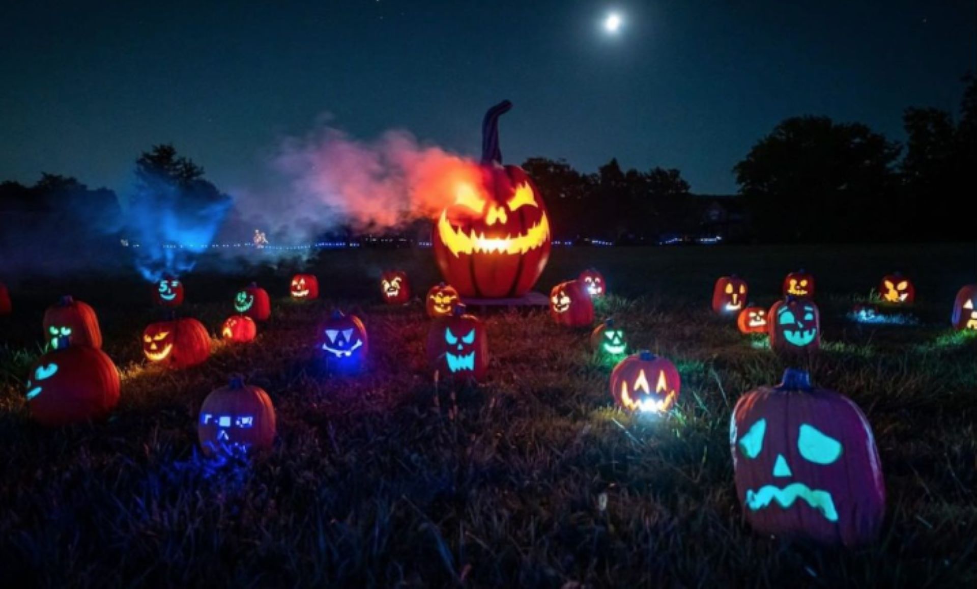 Pumpkins After Dark