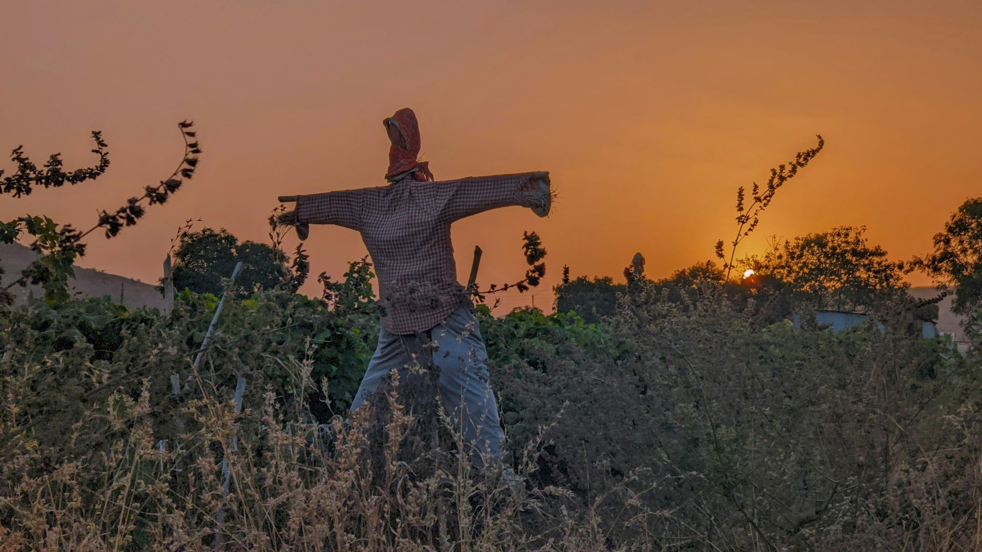 Steveston Scarecrow Crawl
